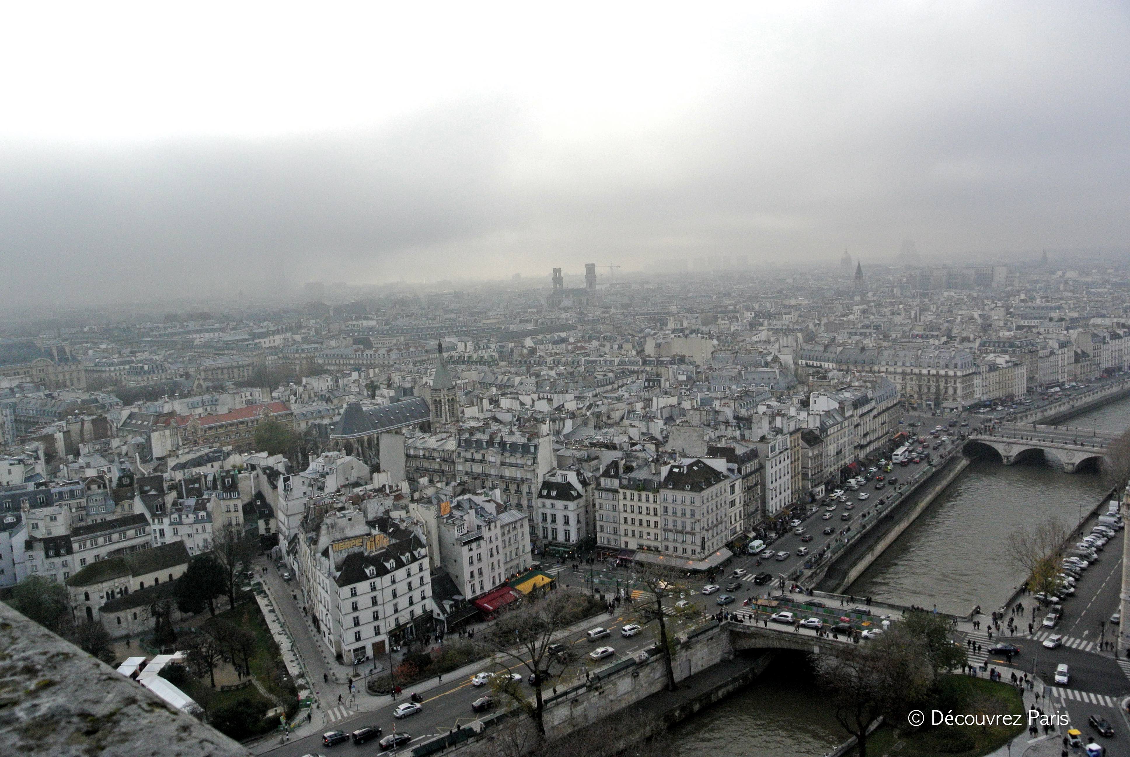 Paris depuis cathedrale notre-dame rive-gauche