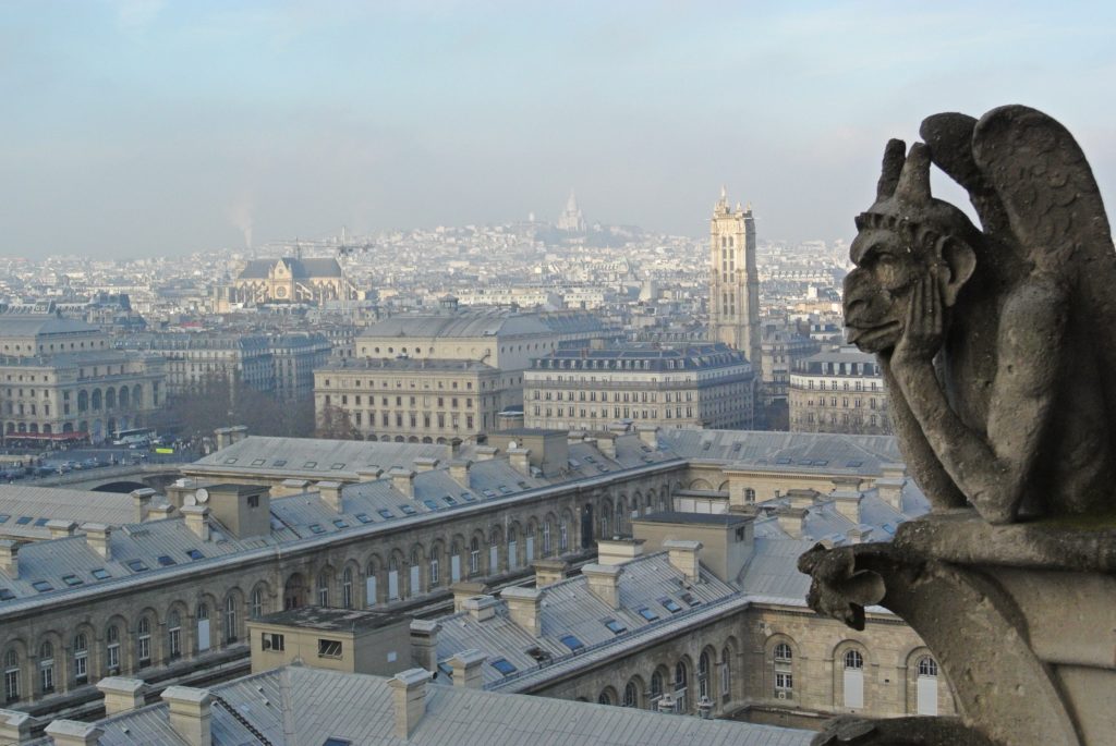 Paris depuis tour cathedrale Notre-dame