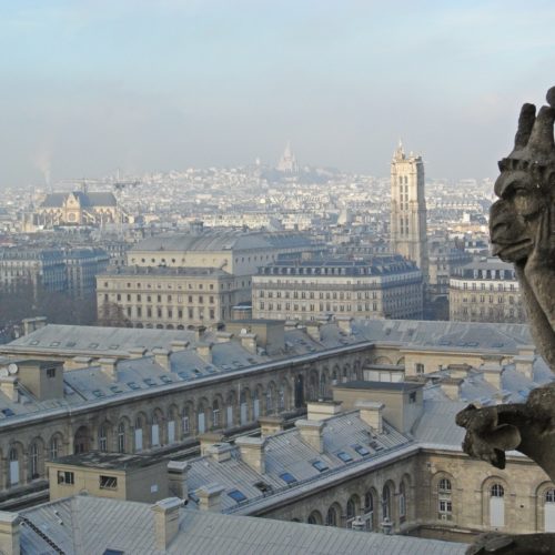 Paris depuis tour cathedrale Notre-dame